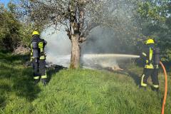 IMG-20260422-WA0022