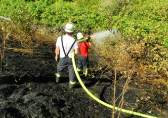 Gemeldeter PKW Brand und Flächenbrand fordern die Feuerwehr Rosbach